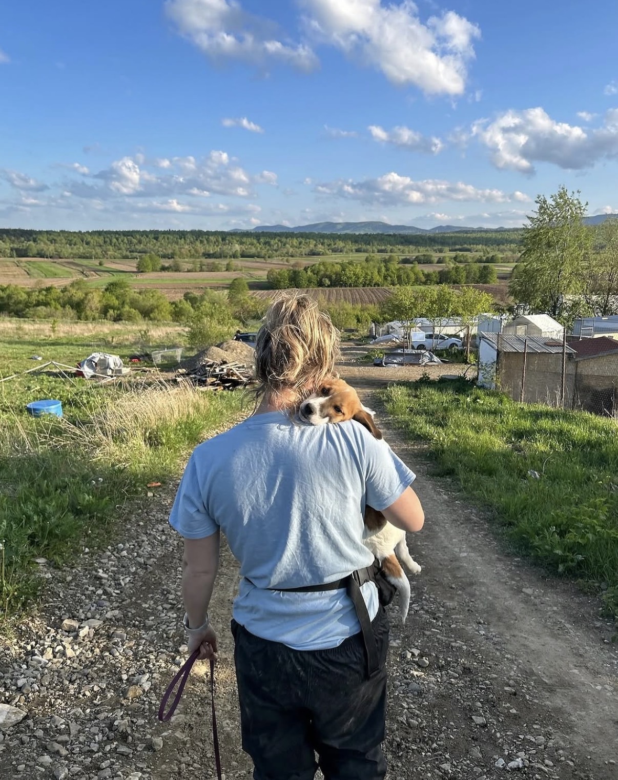 Person carrying a puppy while walking through countryside